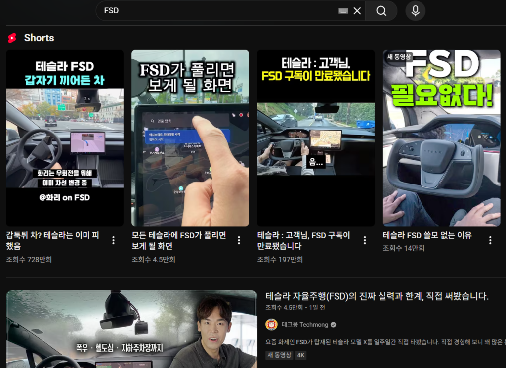 유튜브에 FSD라고 검색한 결과